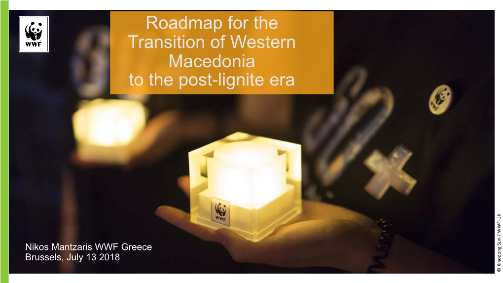 Roadmap for the Transition of Western Macedonia to the Post-Lignite