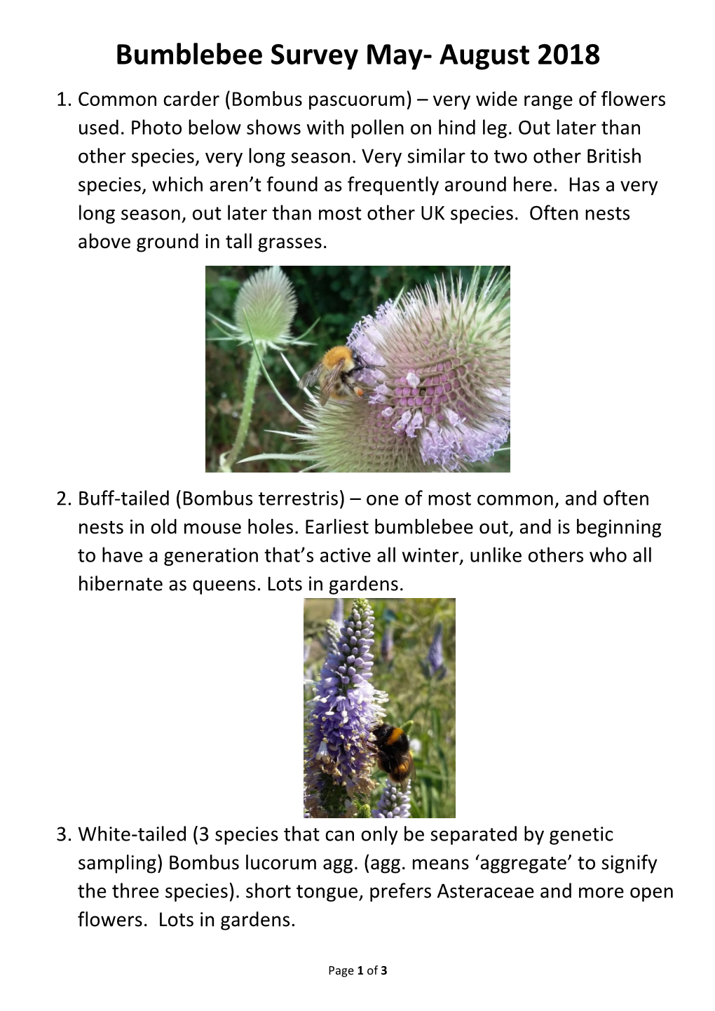 Bumblebee Survey May- August 2018 1
