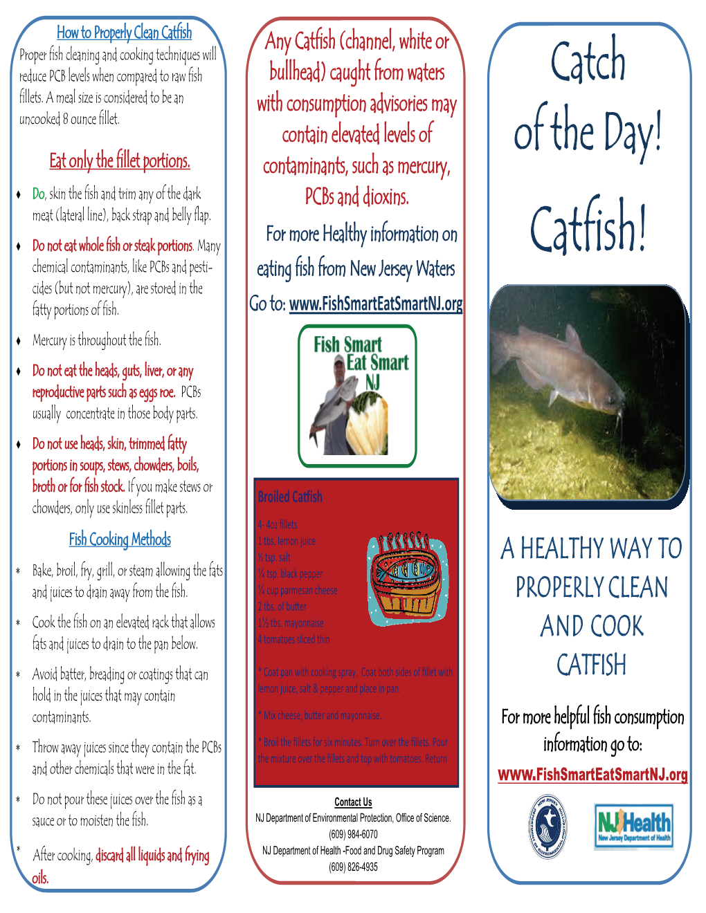 Catfish! Chemical Contaminants, Like Pcbs and Pesti- Eating Fish from New Jersey Waters Cides (But Not Mercury), Are Stored in the Fatty Portions of Fish