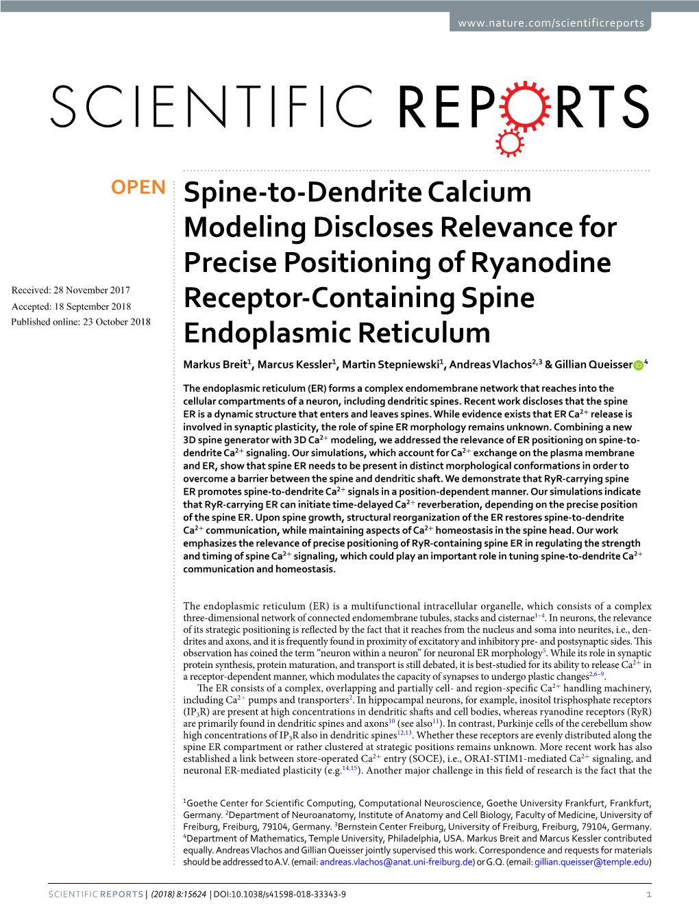 Spine-To-Dendrite Calcium Modeling Discloses Relevance for Precise