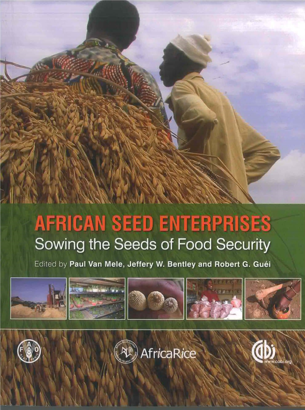 African Seed Enterprises Sowing the Seeds of Food Security