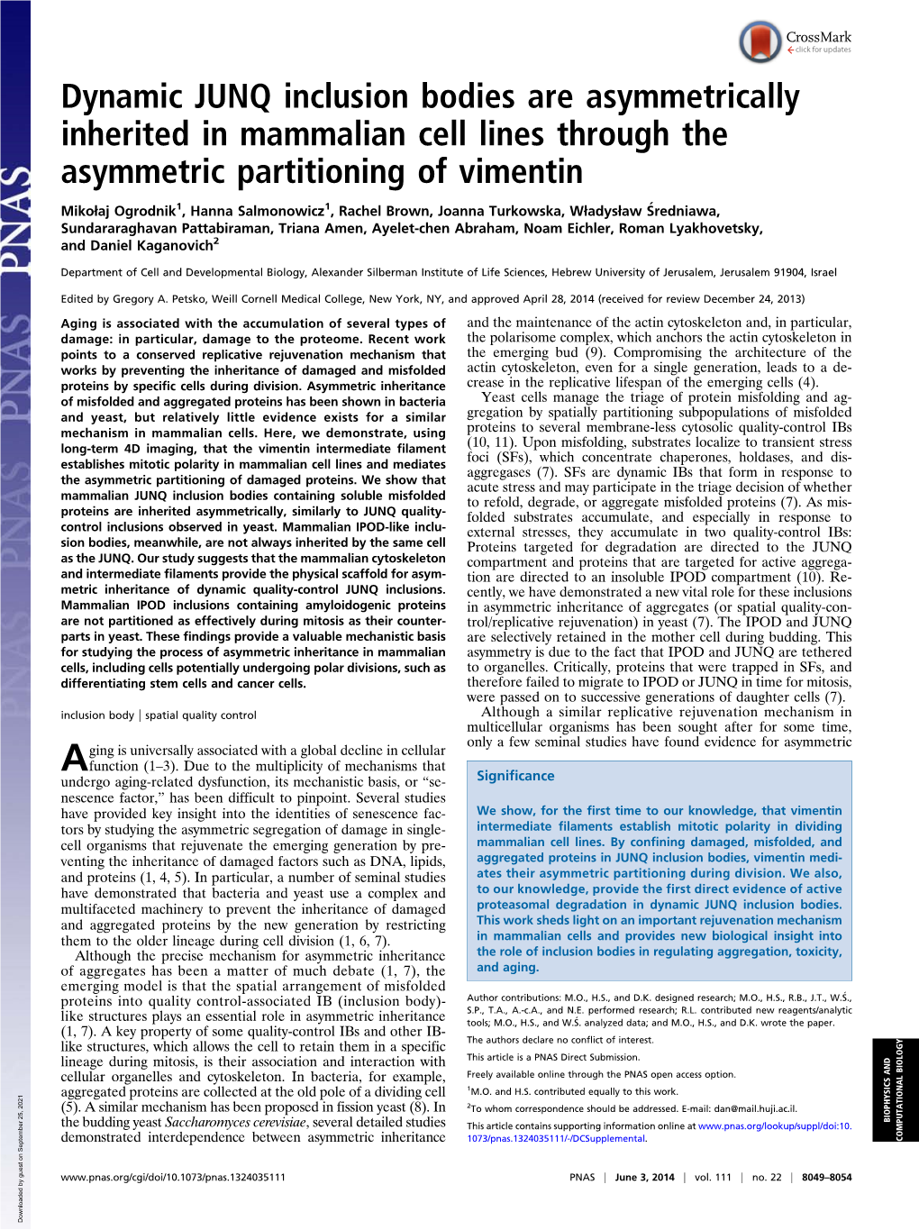 Dynamic JUNQ Inclusion Bodies Are Asymmetrically Inherited in Mammalian Cell Lines Through the Asymmetric Partitioning of Vimentin