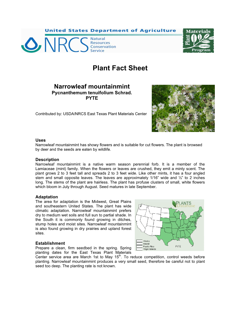 Narrowleaf Mountainmint Plant Fact Sheet