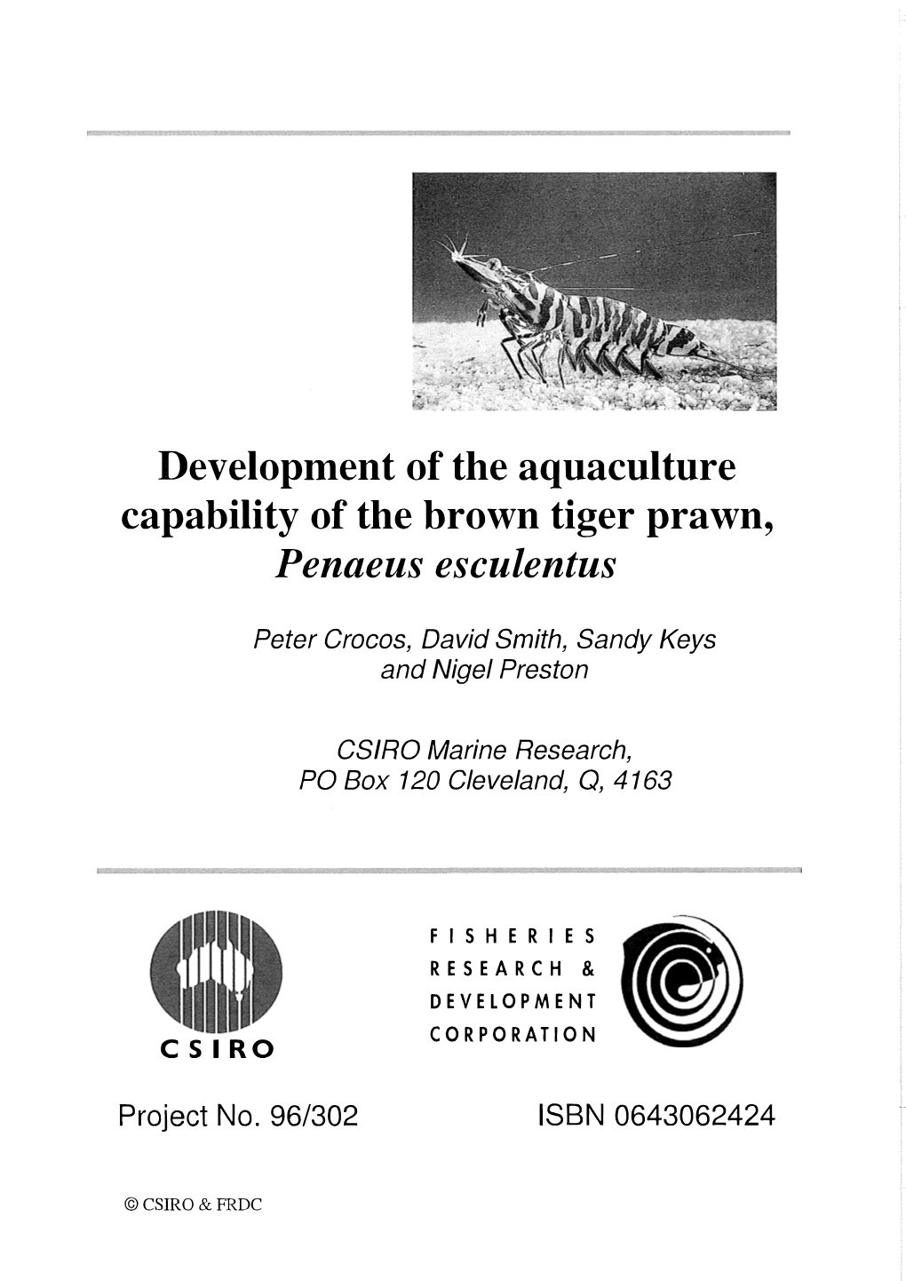 Development of the Aquaculture Capability of the Brown Tiger Prawn, Penaeus Esculentus