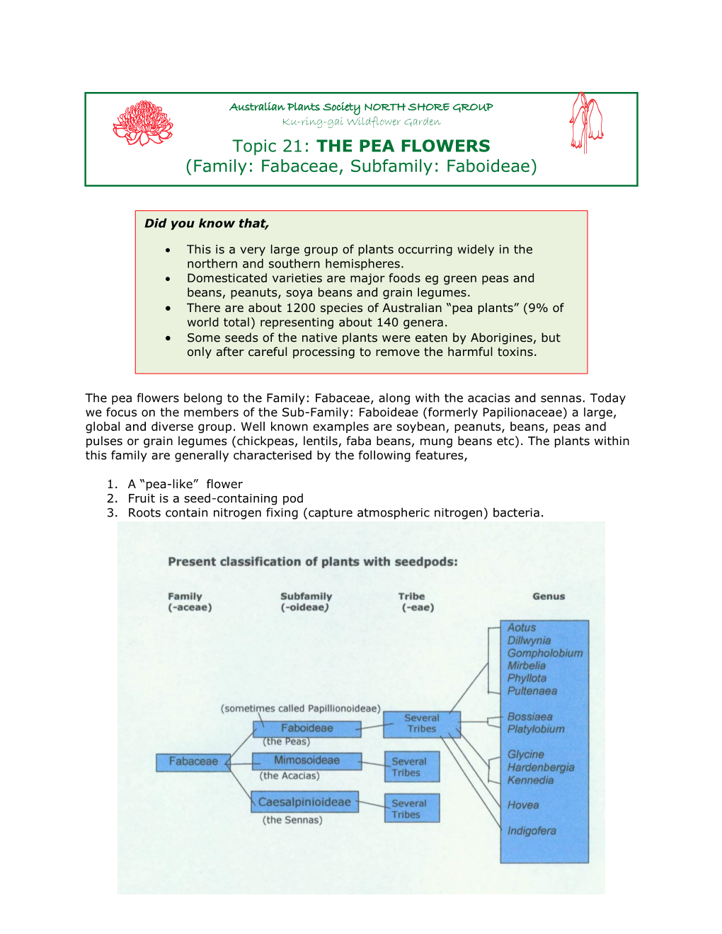 Topic 21: the PEA FLOWERS (Family: Fabaceae, Subfamily: Faboideae)