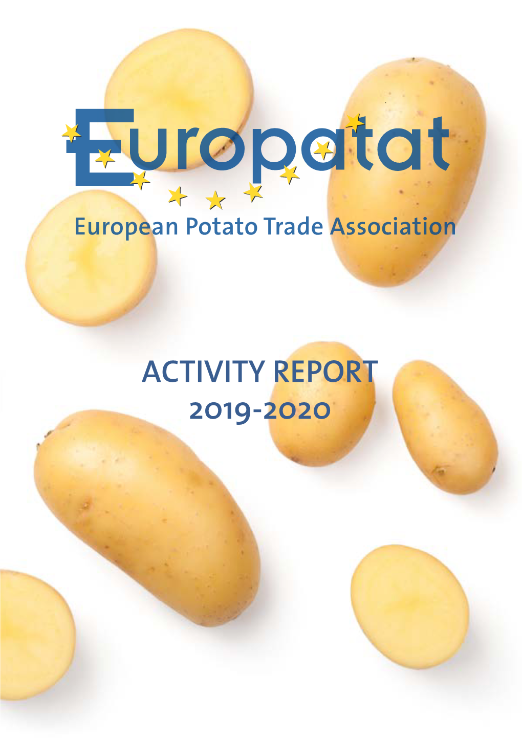 Activity Report 2019-2020 the Association