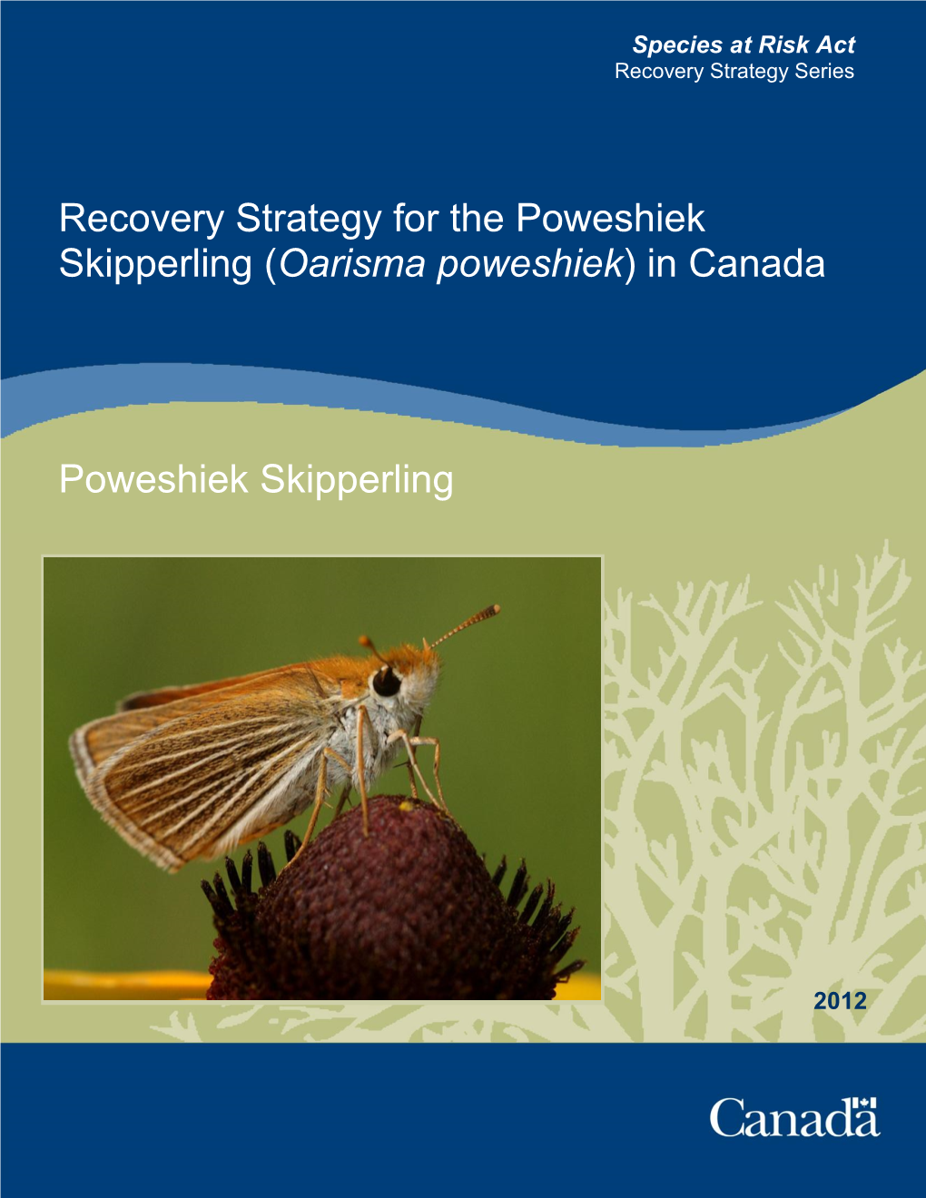 Poweshiek Skipperling (Oarisma Poweshiek) in Canada