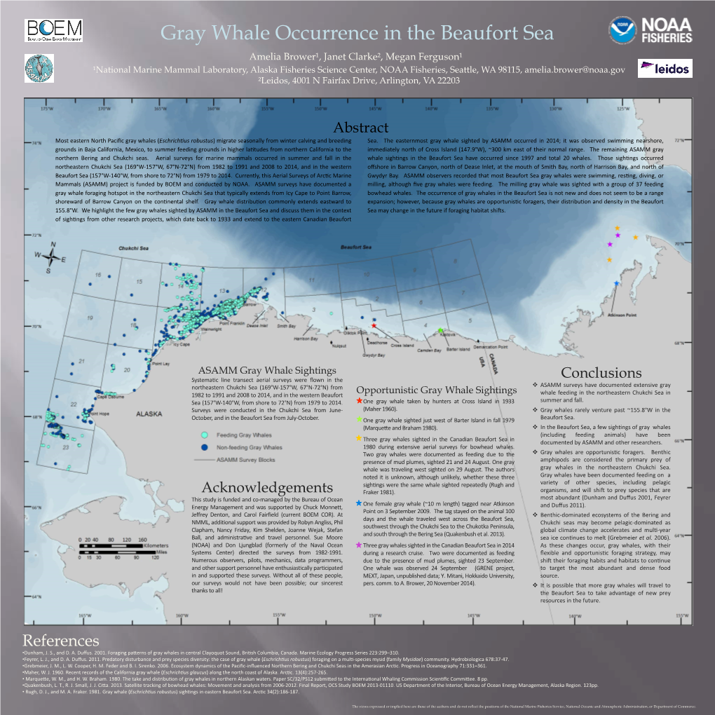 Gray Whale Occurrence in the Beaufort