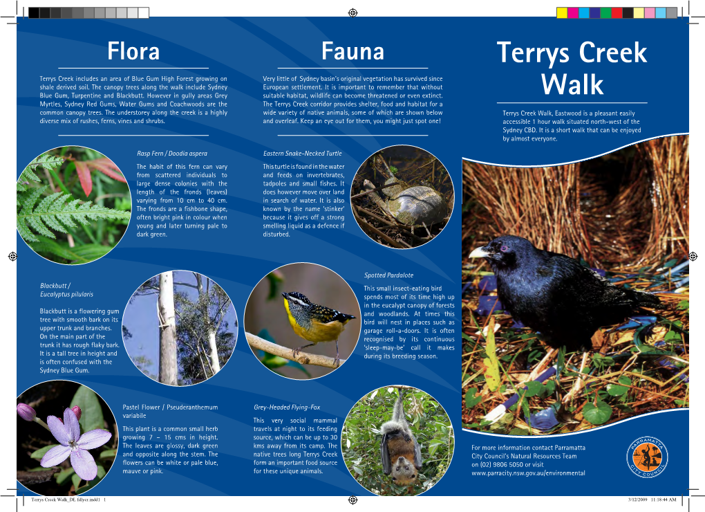 Terrys Creek Walk Brochure
