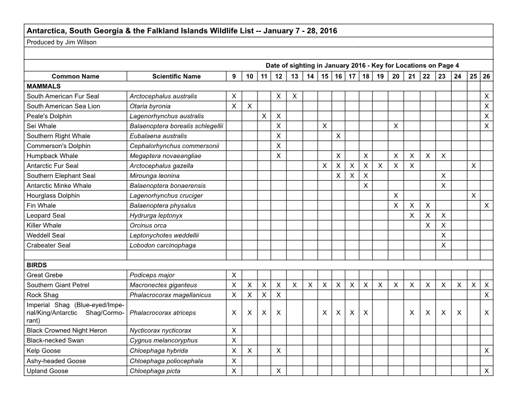 Antarctica, South Georgia & the Falkland Islands Wildlife List