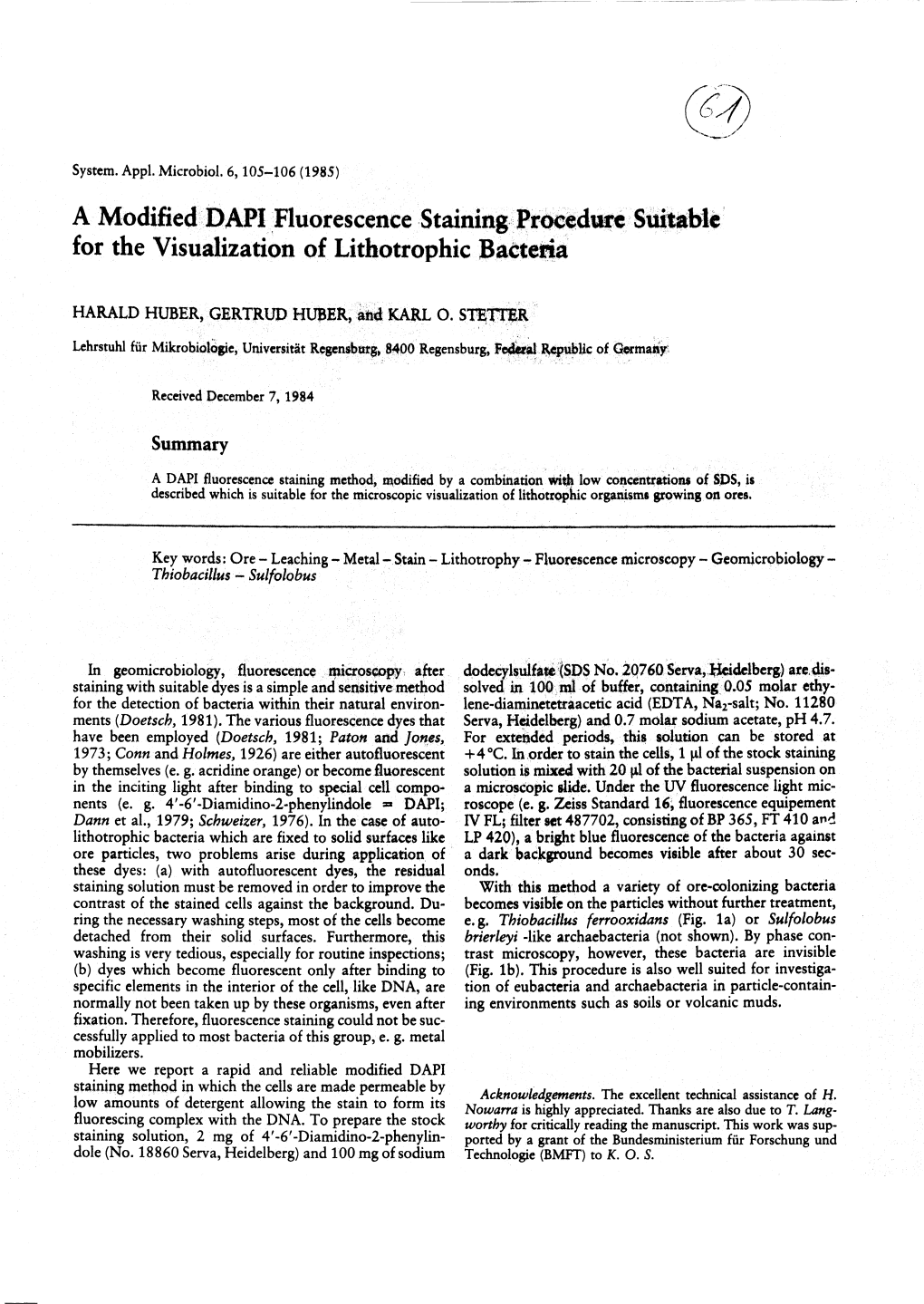 A Modified DAPI Fluorescence Staining Procedure Suitable for the Visualization of Lithotrophic Bacteria