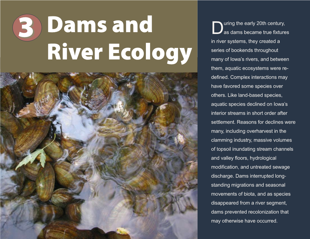 Chapter 3: Dams and River Ecology