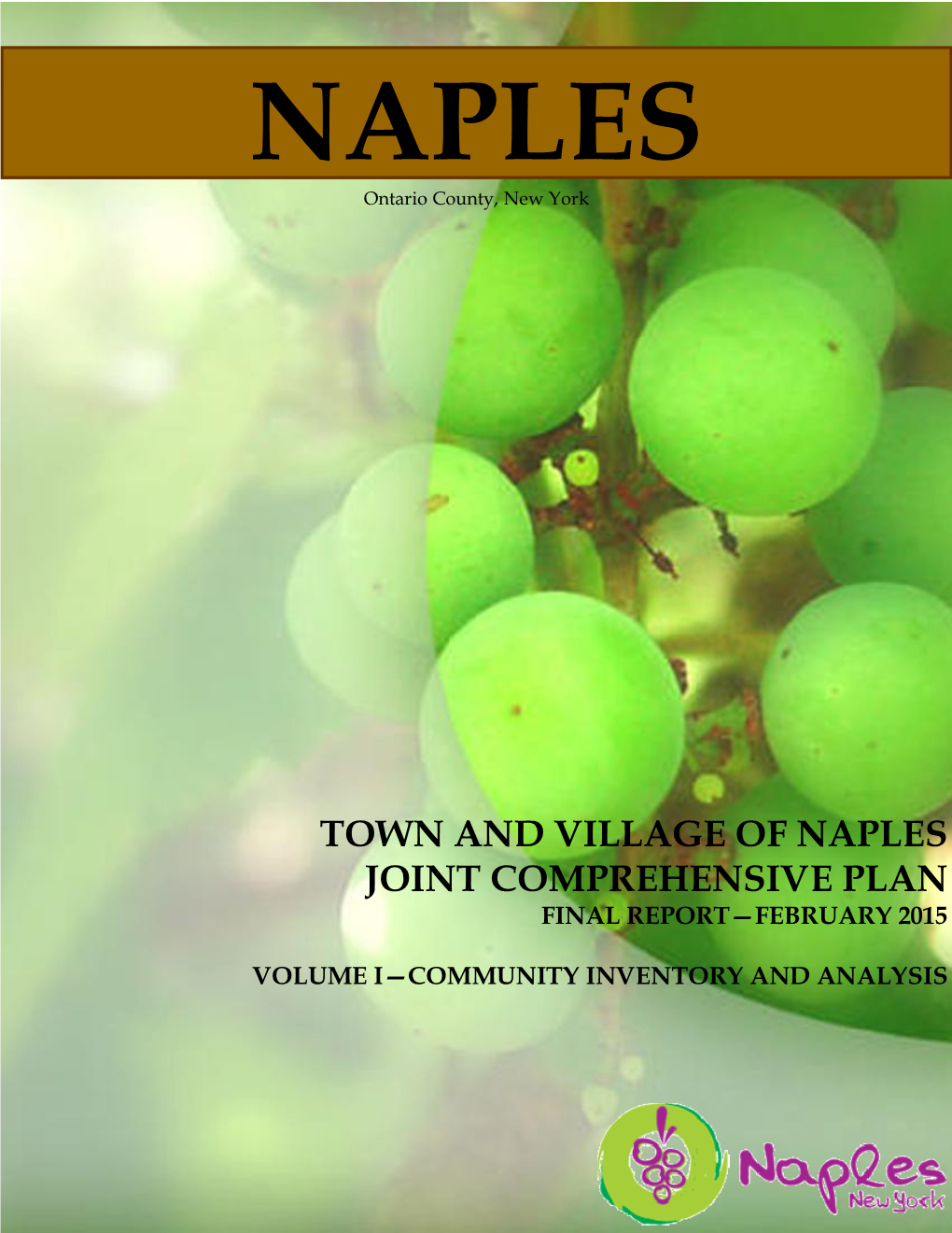 Town and Village of Naples Joint Comprehensive Plan Final Report—February 2015
