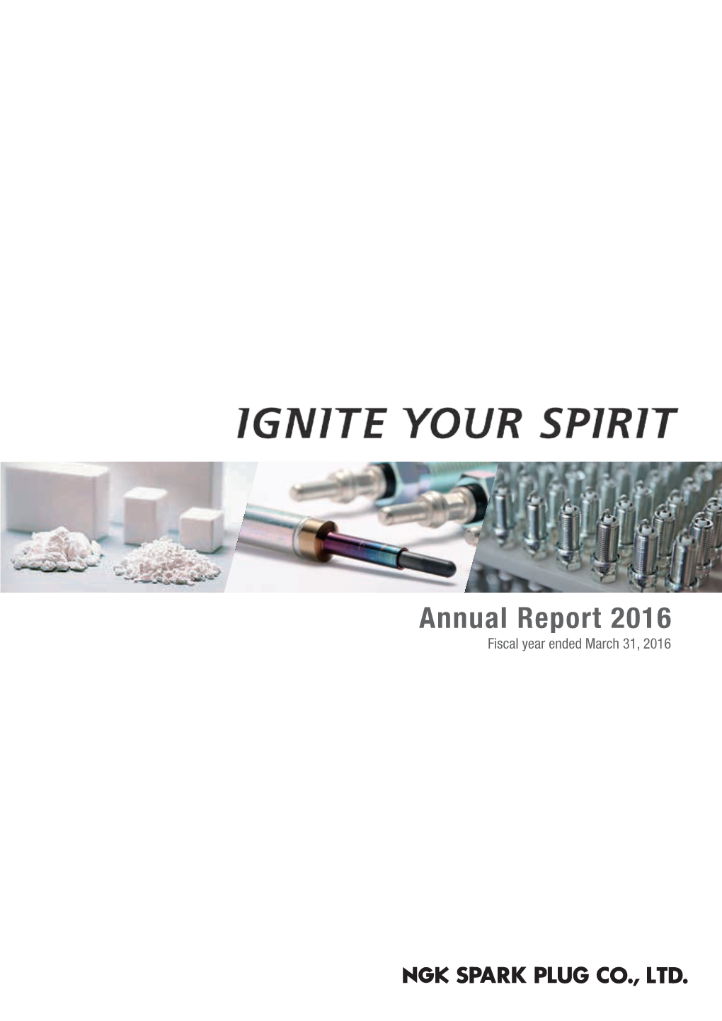 Annual Report 2016 005 0653701372808.Indd 3