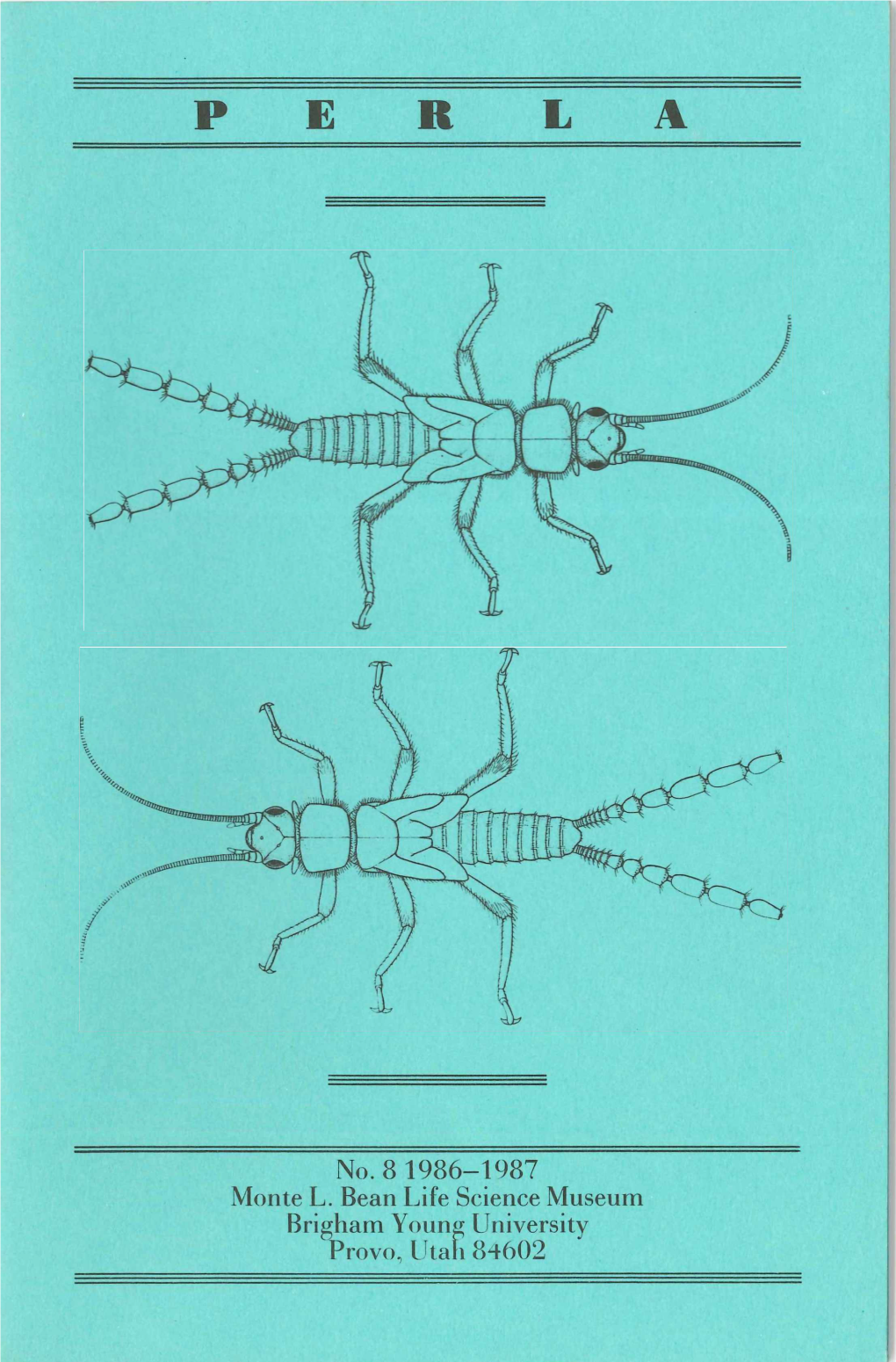 PERLA No. 8, 1986-1987