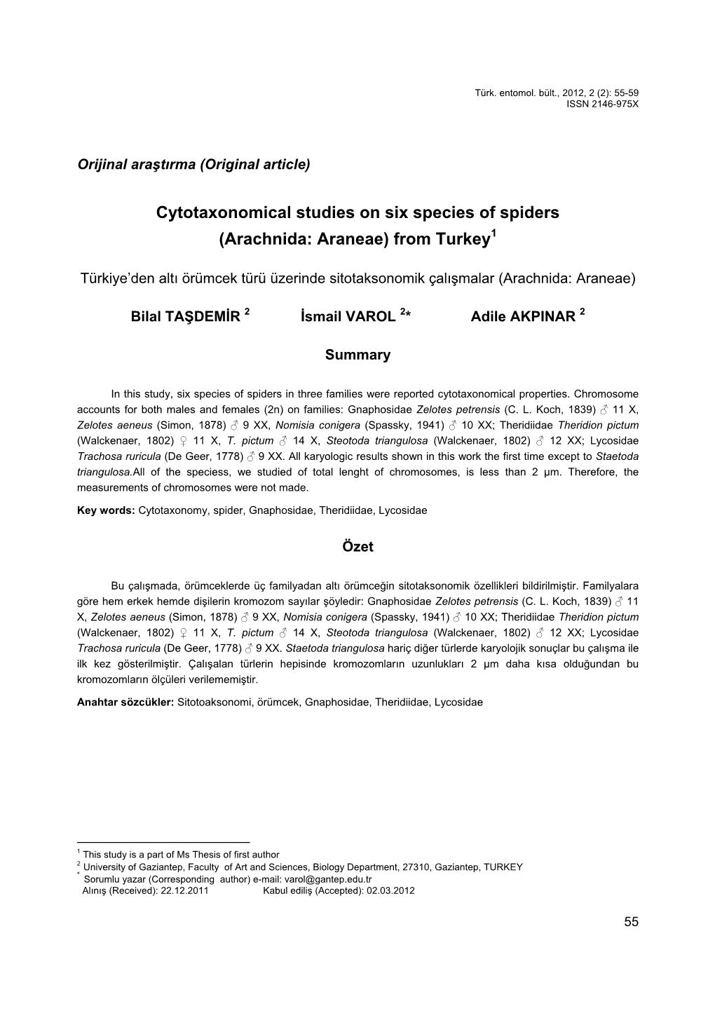 Cytotaxonomical Studies on Six Species of Spiders (Arachnida: Araneae) from Turkey1