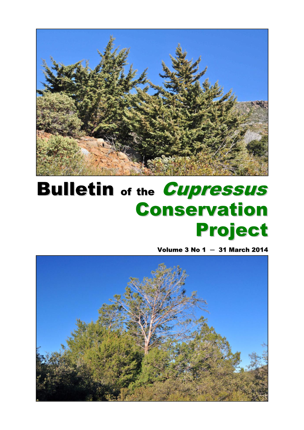 Bulletin of the Cupressus