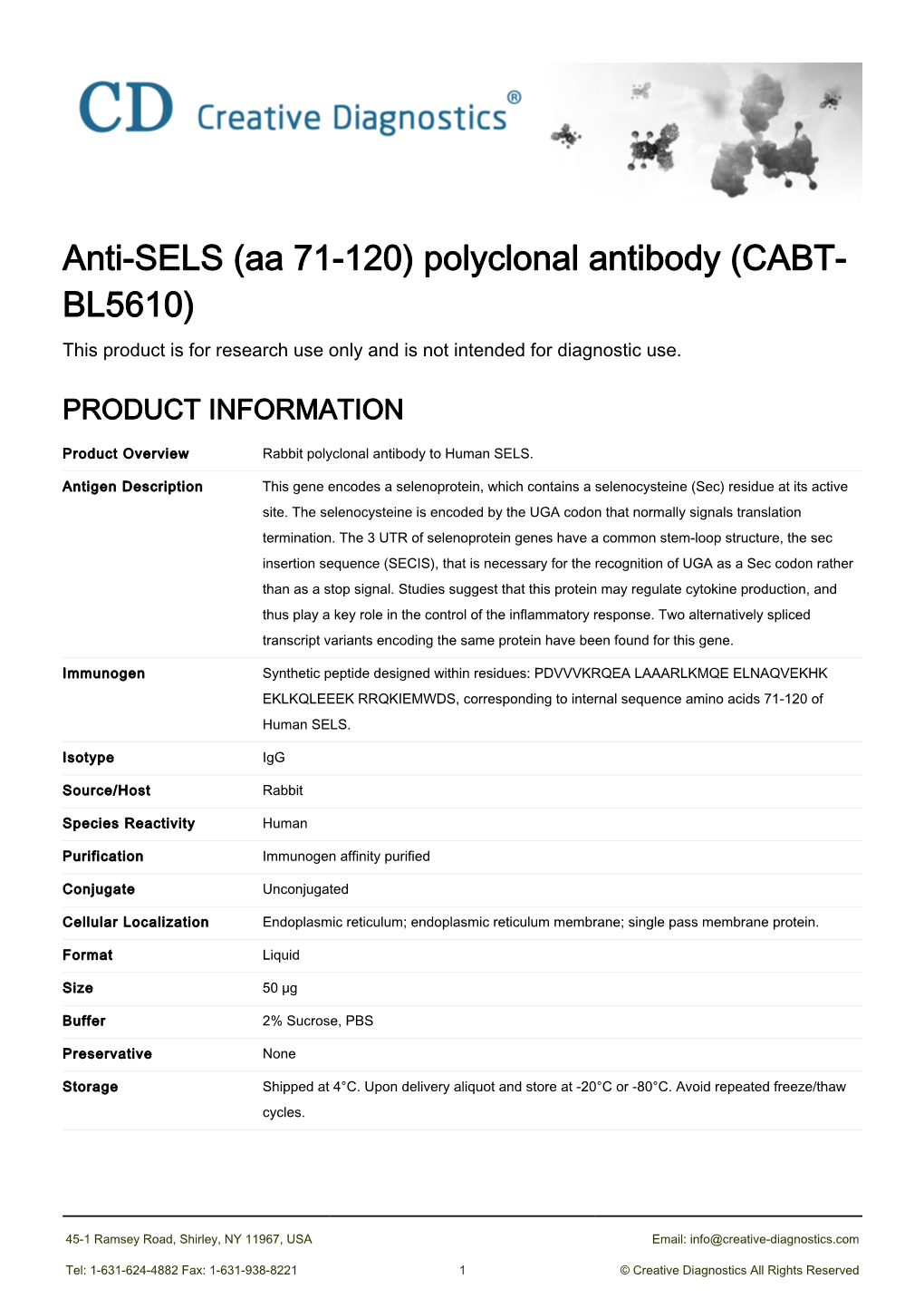 Anti-SELS (Aa 71-120) Polyclonal Antibody (CABT- BL5610) This Product Is for Research Use Only and Is Not Intended for Diagnostic Use