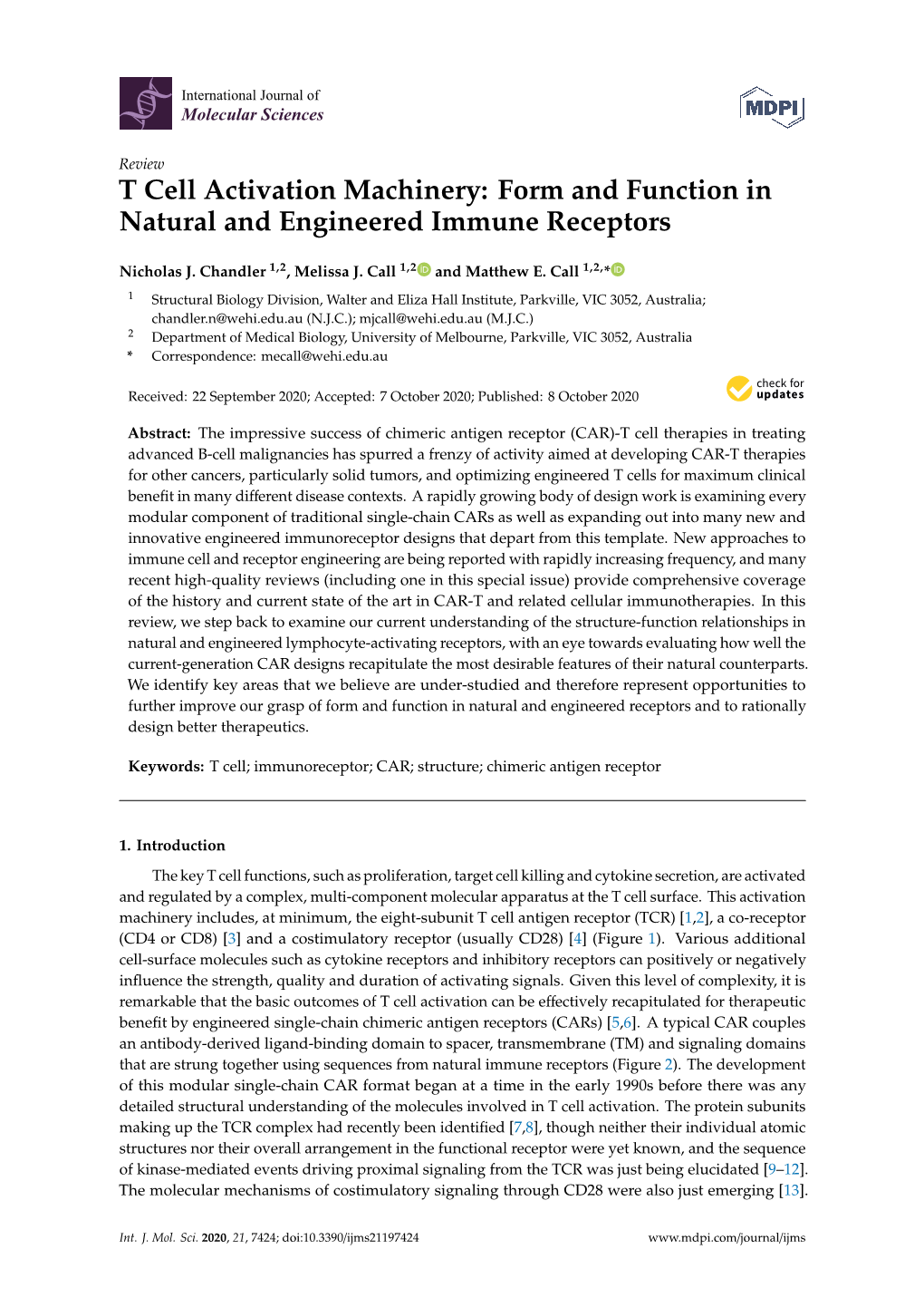 T Cell Activation Machinery: Form and Function in Natural and Engineered Immune Receptors