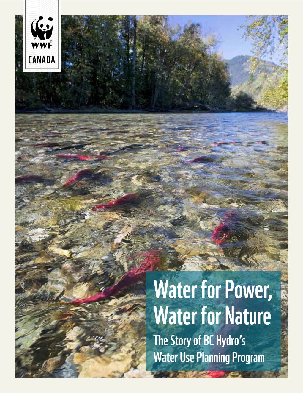 Water for Power, Water for Nature the Story of BC Hydro’S Water Use Planning Program Front Cover: Sockeye Salmon in the Lower Adams River