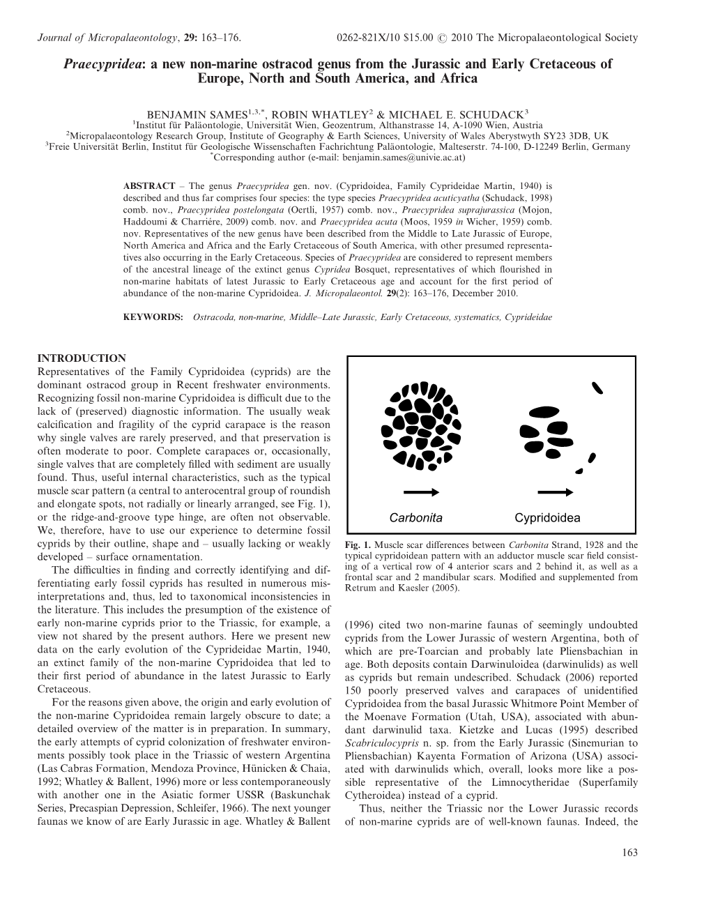 A New Non-Marine Ostracod Genus from the Jurassic and Early Cretaceous of Europe, North and South America, and Africa