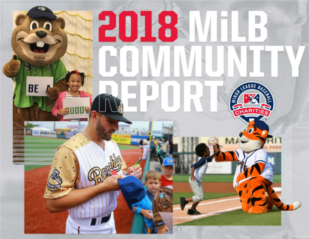 Minor League Baseball Would Like to Thank the Following Partners for Their Support of Milb Charities