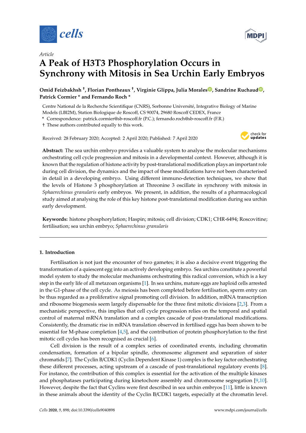 A Peak of H3T3 Phosphorylation Occurs in Synchrony with Mitosis in Sea Urchin Early Embryos
