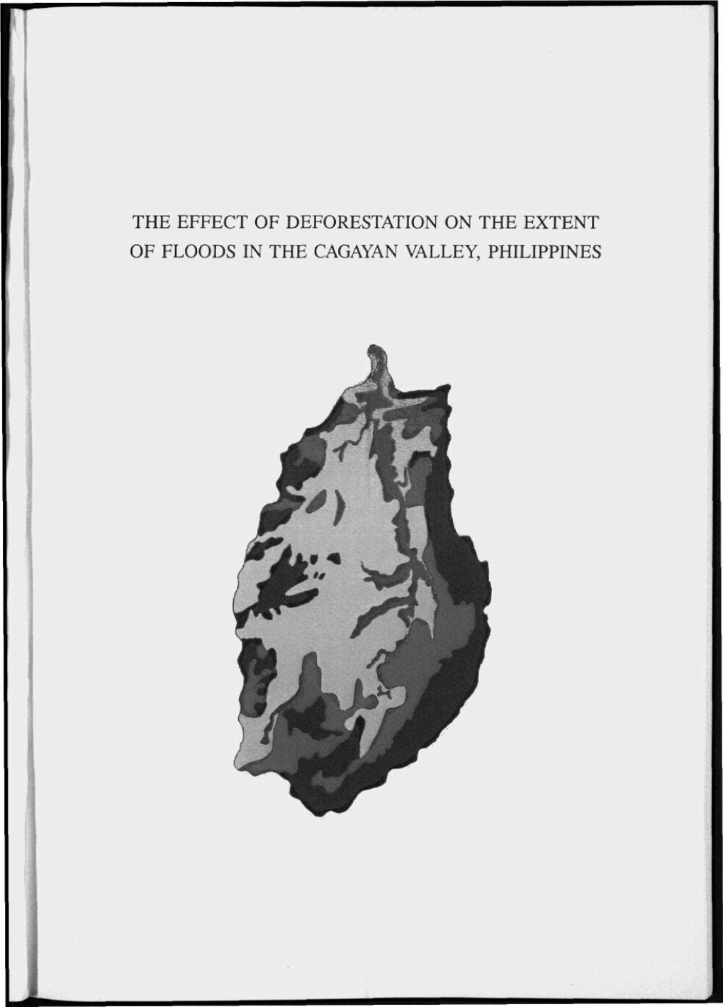 The Effect of Deforestation on the Extent of Floods In