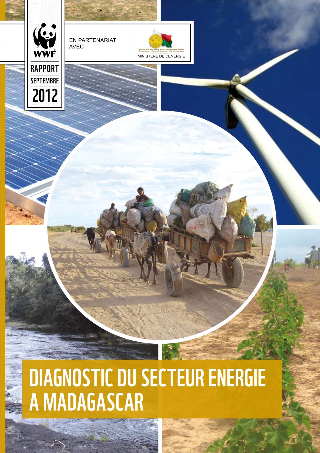 DIAGNOSTIC DU SECTEUR ENERGIE a MADAGASCAR Table Des Matières Résumé Exécutif