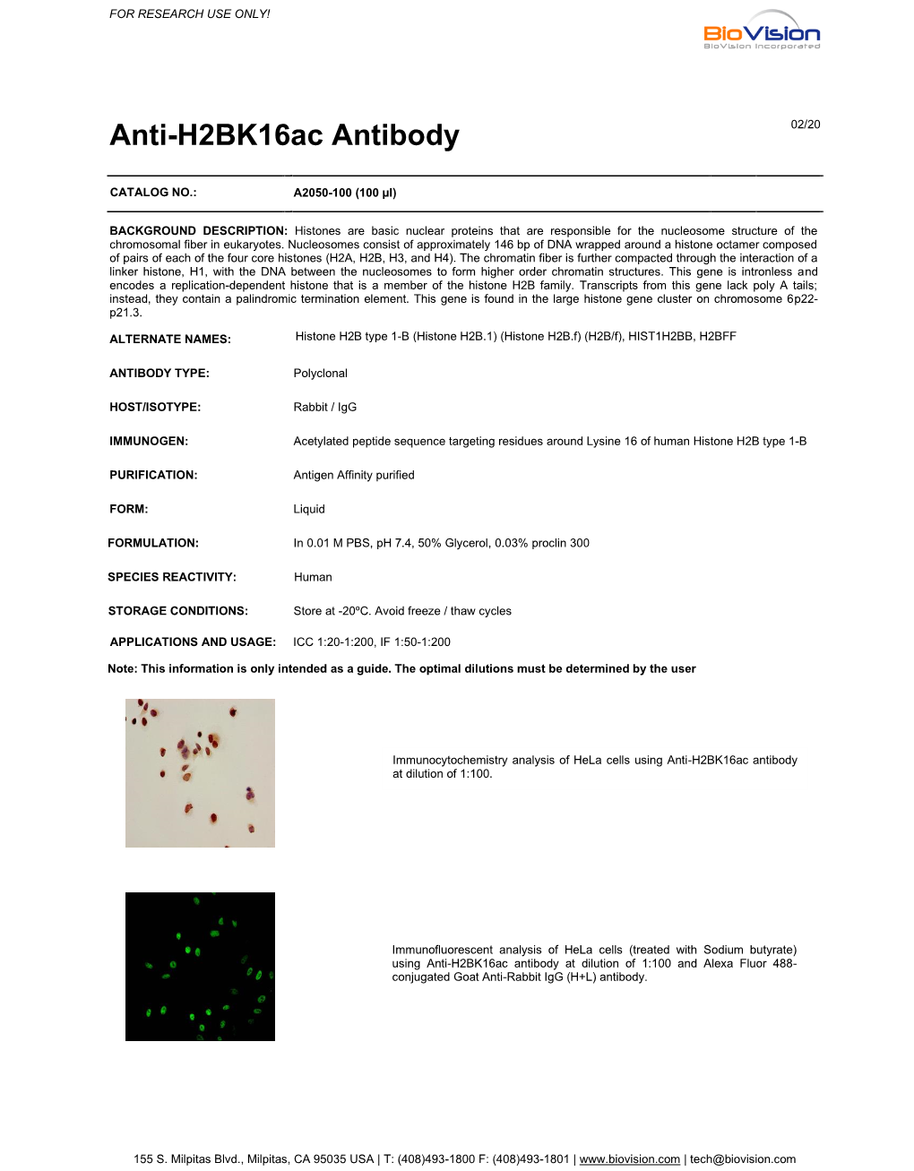 Anti-H2bk16ac Antibody