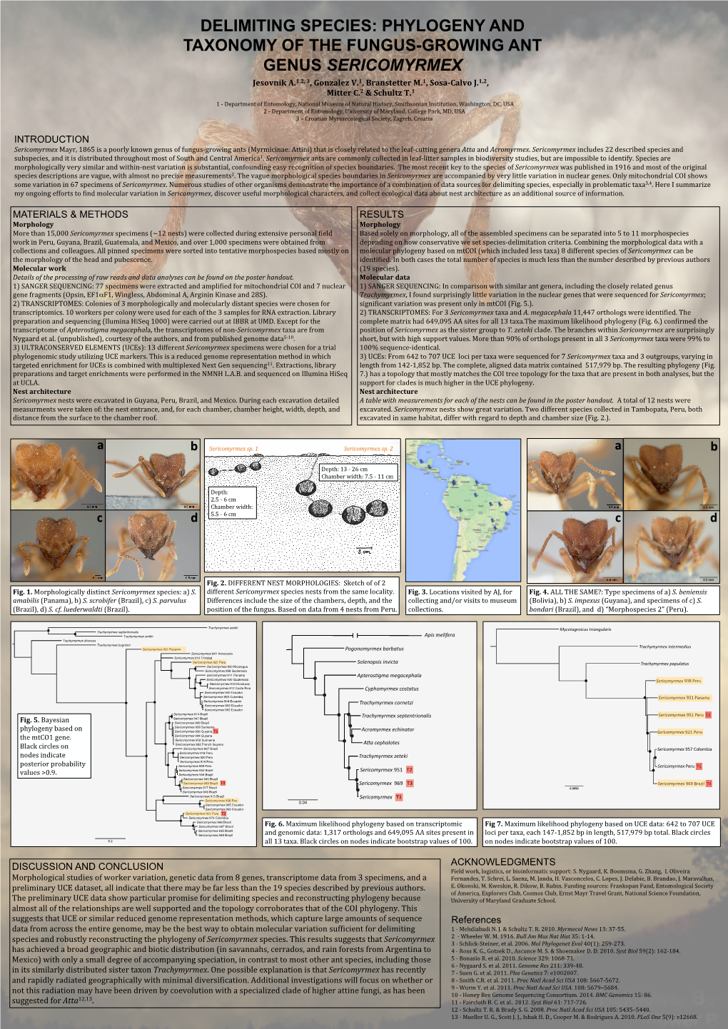 Phylogeny and Taxonomy of the Fungus-Growing Ant