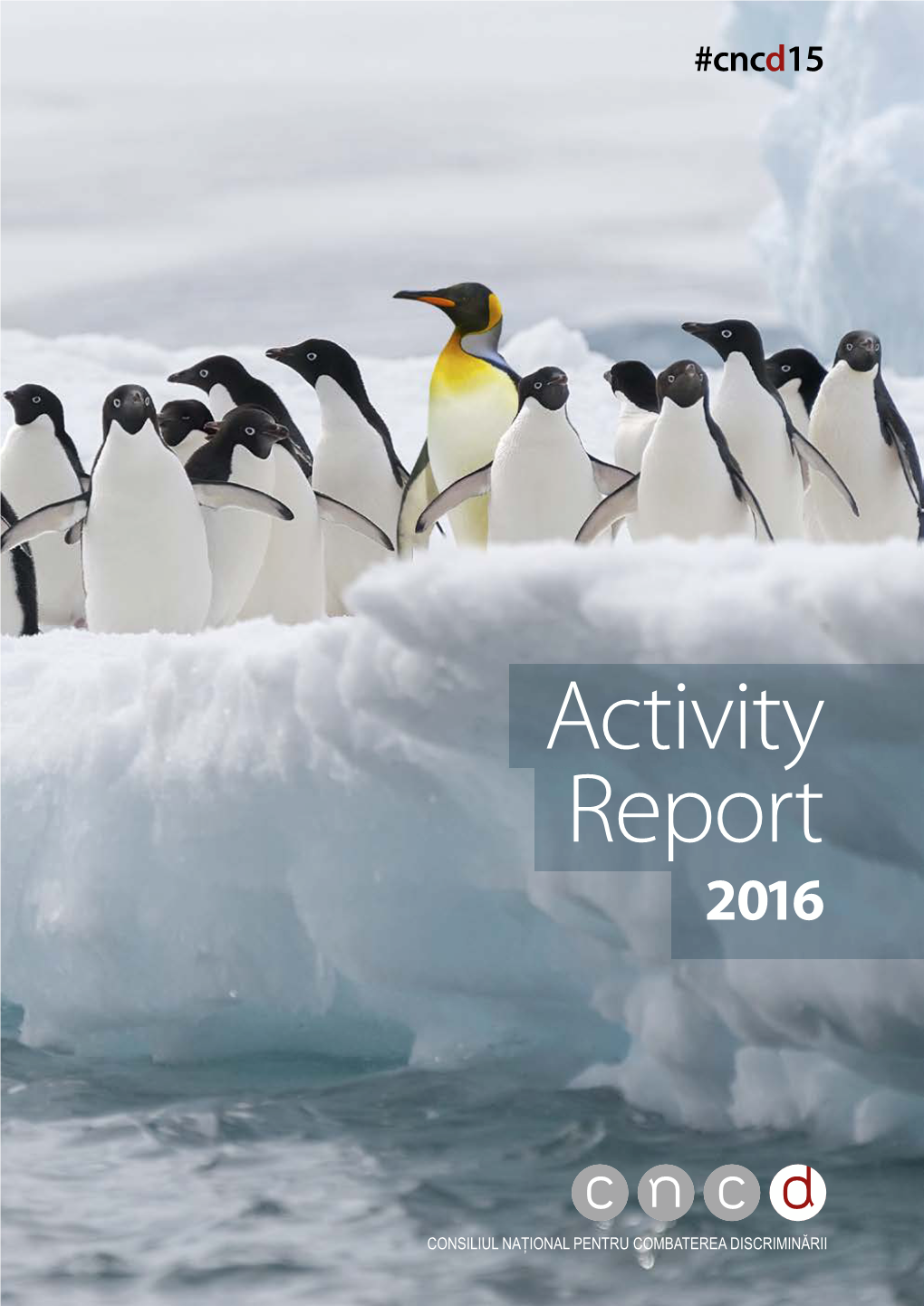 Activity Report 2016