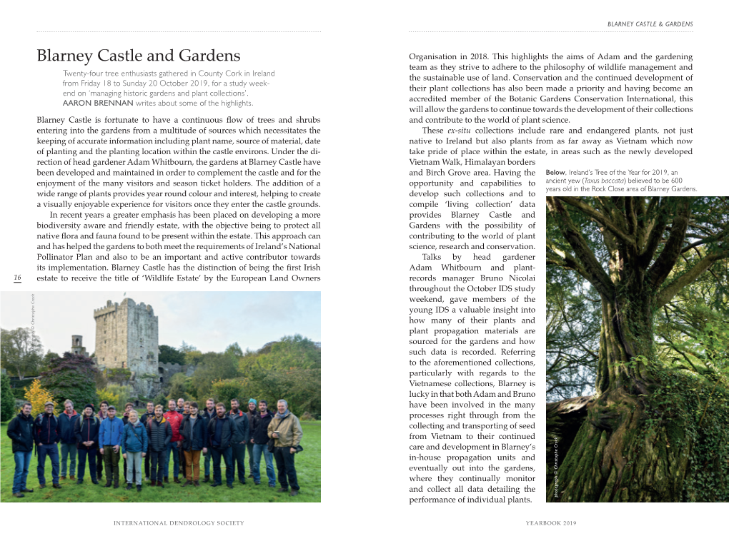 Blarney Castle and Gardens Organisation in 2018