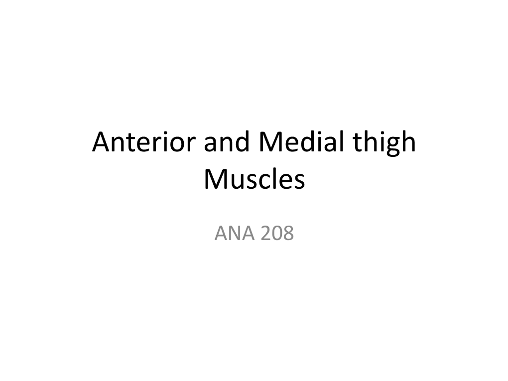 Anterior and Medial Thigh Muscles