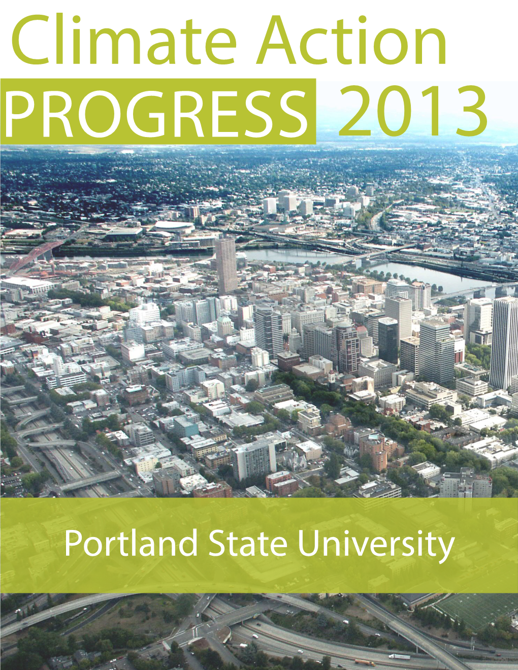 2013 Progress Report