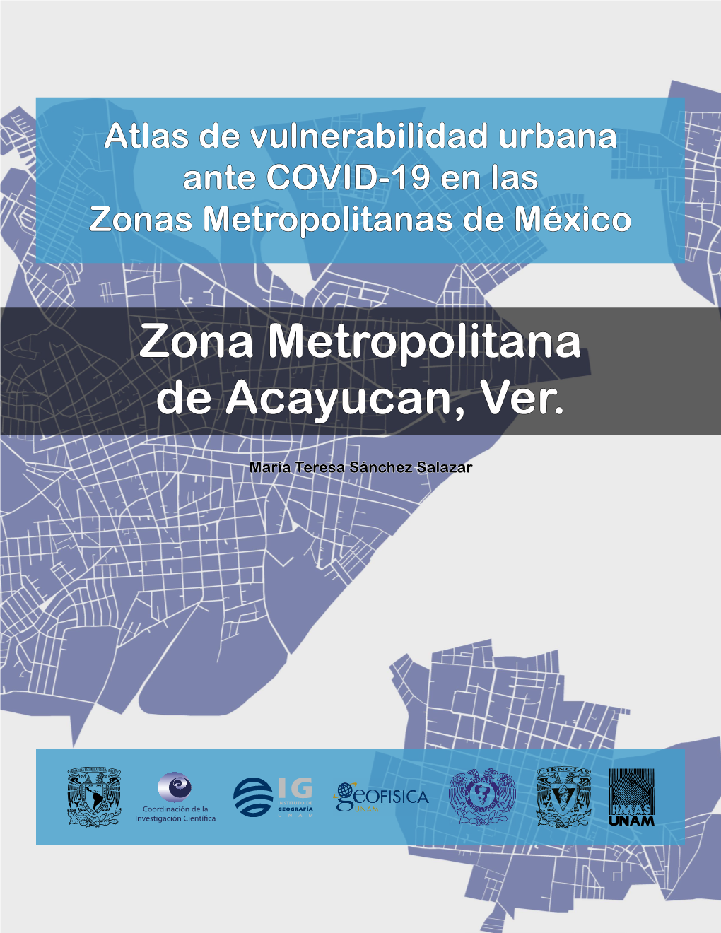 Zona Metropolitana De Acayucan, Ver