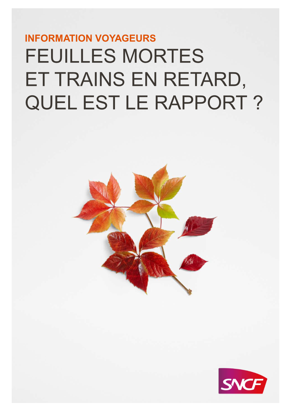 Feuilles Mortes Et Trains En Retard, Quel Est Le Rapport ? Aléa Climatique L’Impact Sur La Circulation Des Trains