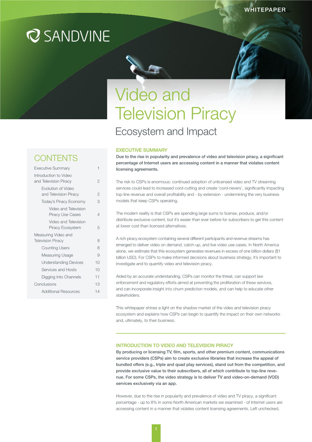 Video and Television Piracy: Ecosystem and Impact