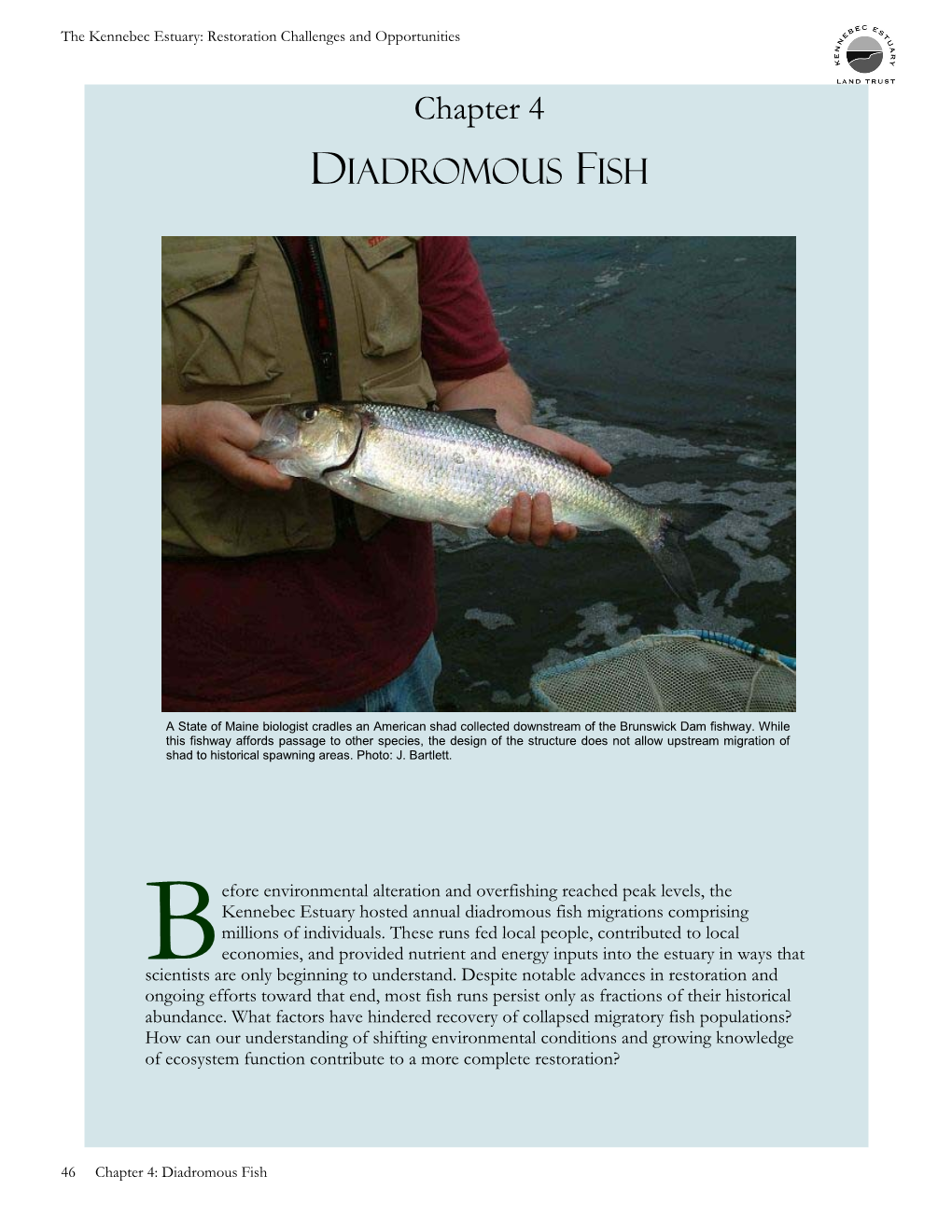 Diadromous Fish