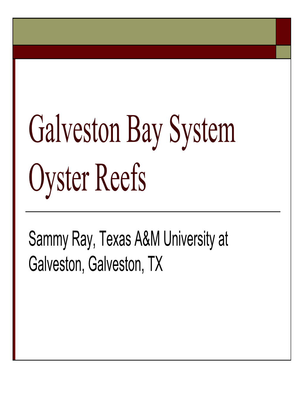 Galveston Bay System Oyster Reefs