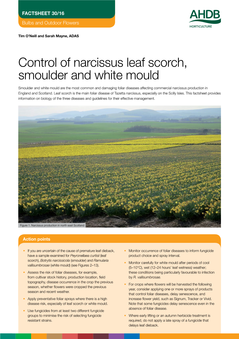 Control of Narcissus Leaf Scorch, Smoulder and White Mould