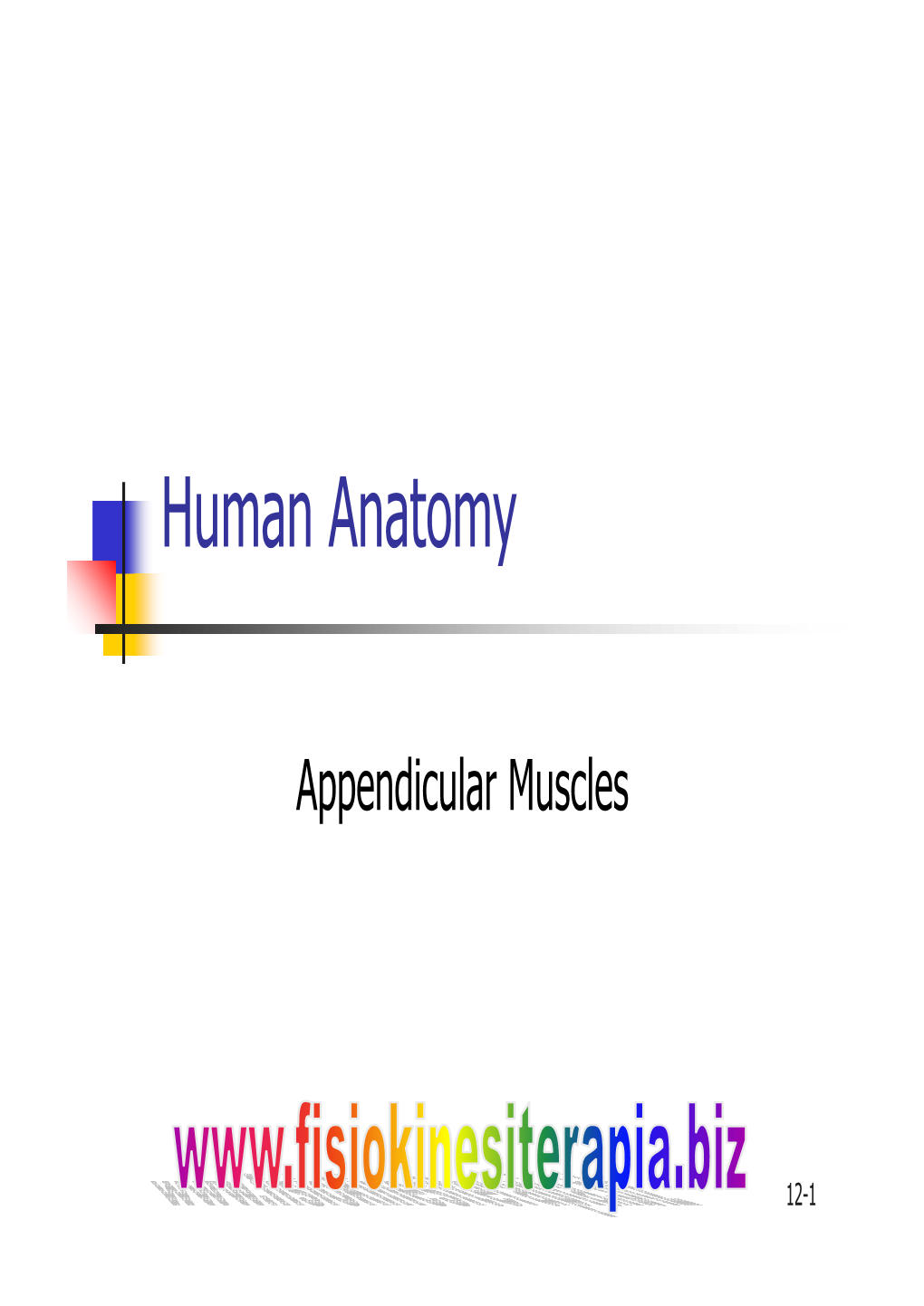 Human Anatomy