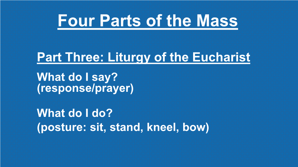 Liturgy of the Eucharist What Do I Say? (Response/Prayer)