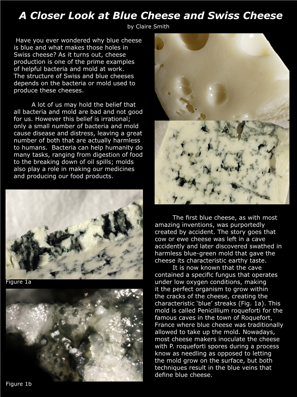 A Closer Look at Blue Cheese and Swiss Cheese by Claire Smith