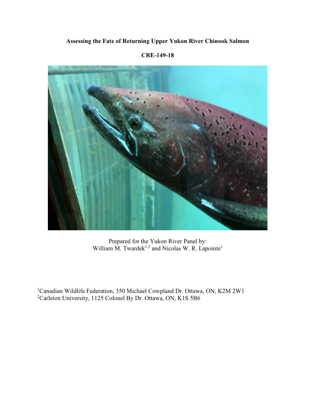 Assessing the Fate of Returning Upper Yukon River Chinook Salmon