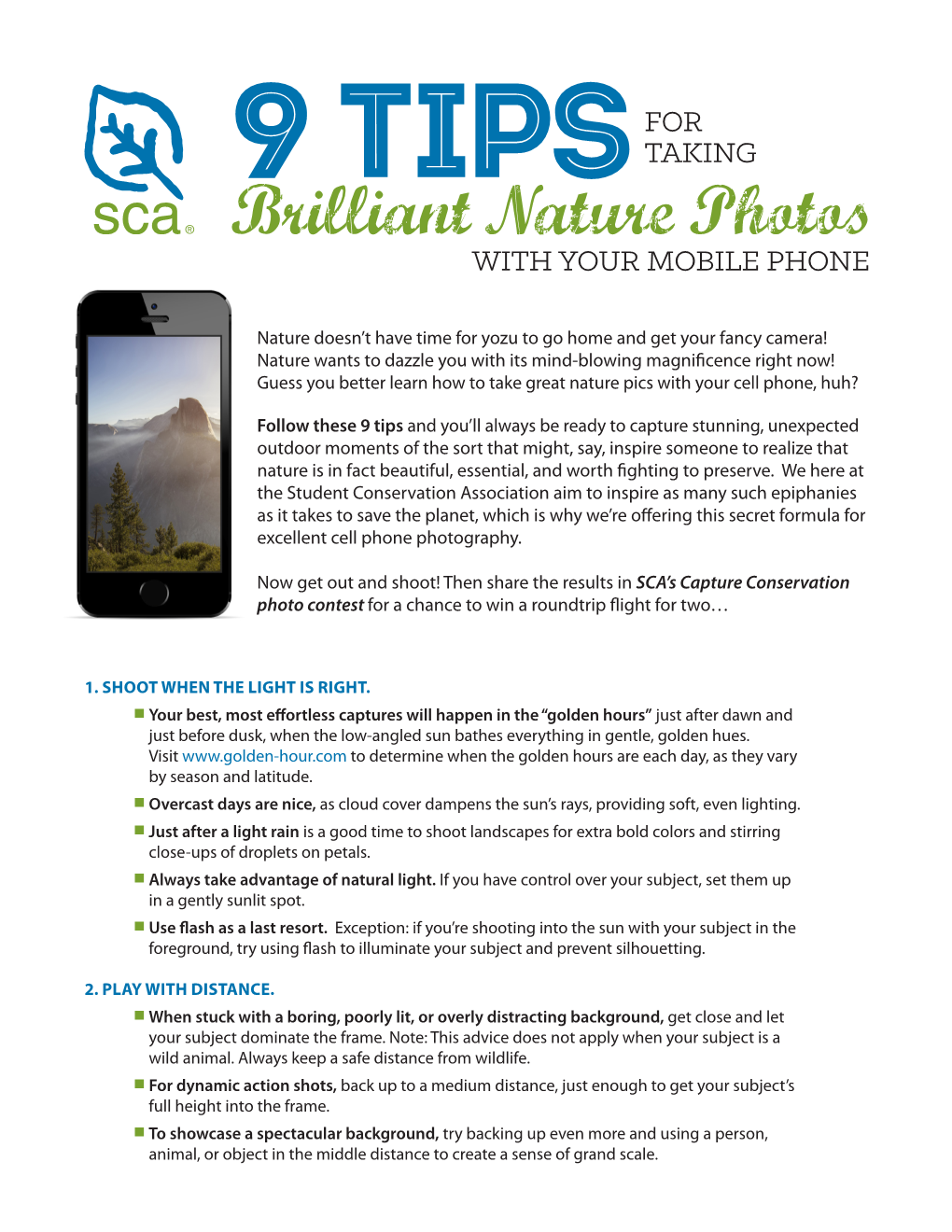 Brilliant Nature Photos with YOUR MOBILE PHONE