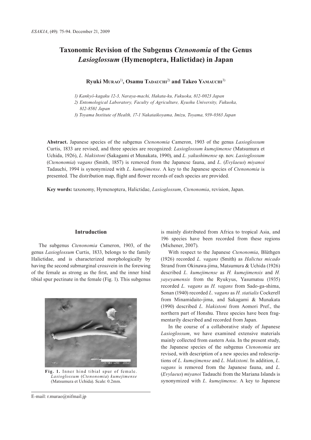 Taxonomic Revision of the Subgenus Ctenonomia of the Genus Lasioglossum (Hymenoptera, Halictidae) in Japan