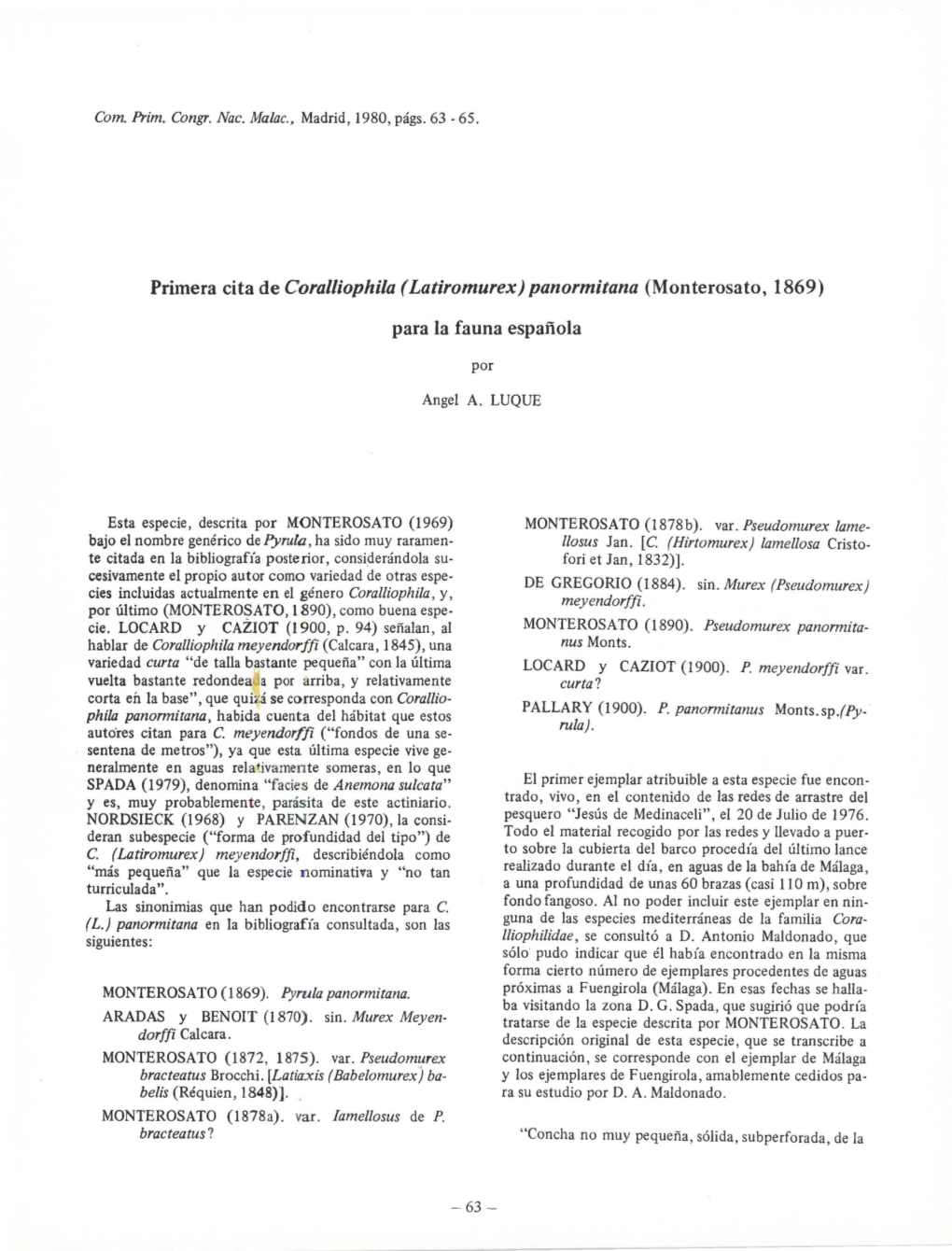 Primera Cita De Coralliophila (Latiromurex) Panormitana (Monterosato, 1869)