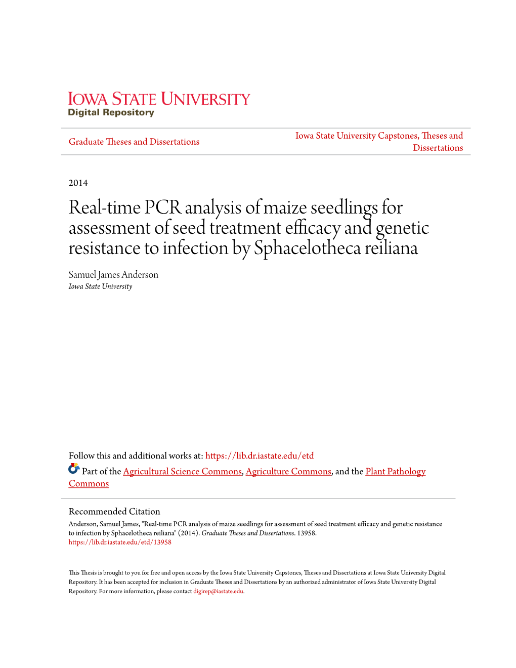 Real-Time PCR Analysis of Maize Seedlings for Assessment of Seed