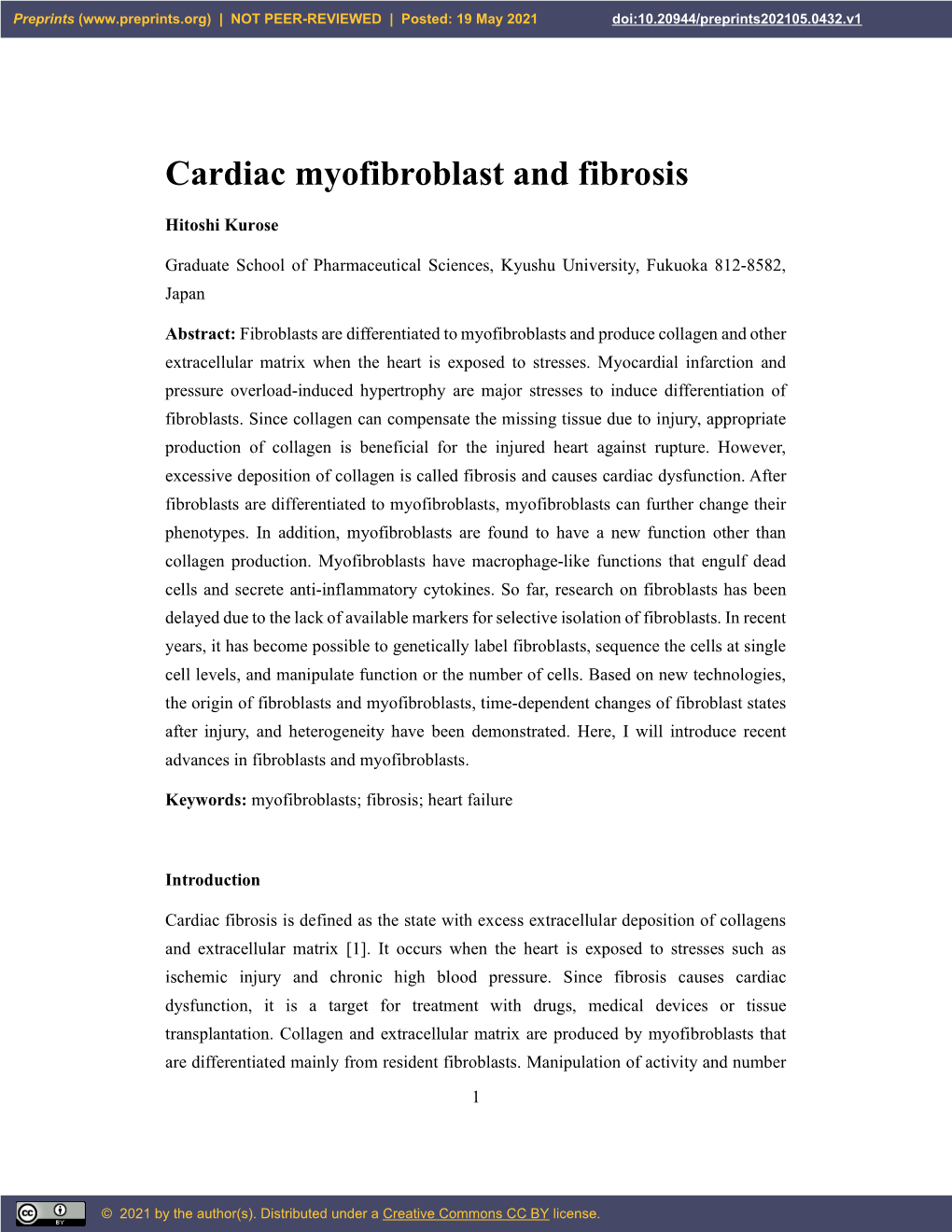 Cardiac Myofibroblast and Fibrosis